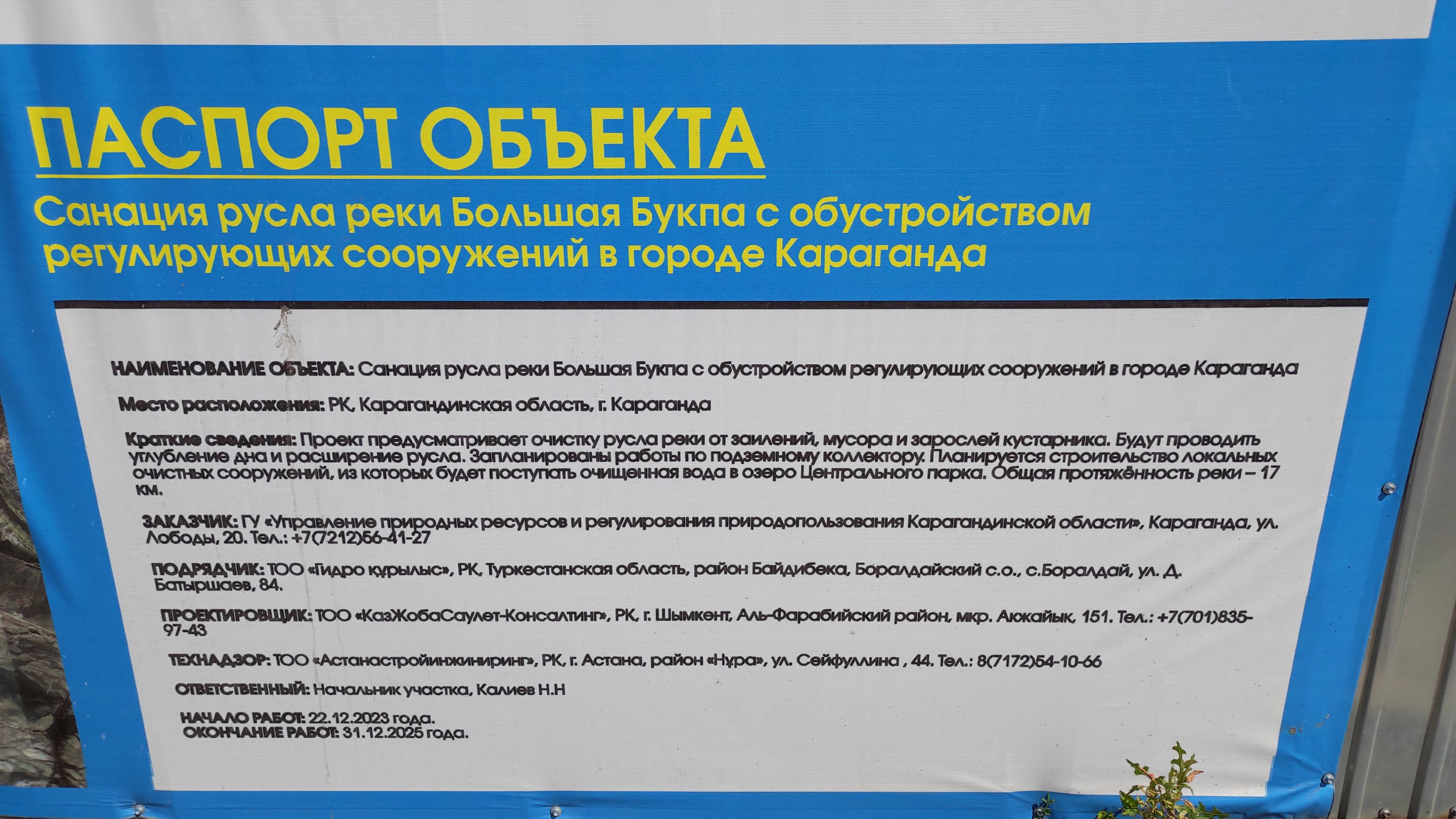 Более 100 деревьев вырубят в Караганде для санации Большой Букпы. Караганда  Онлайн